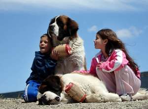 Little kids are better companions that St. Bernards because you can take them to restaurants. Of course, they'll probably never rescue you from an avalanche, though.